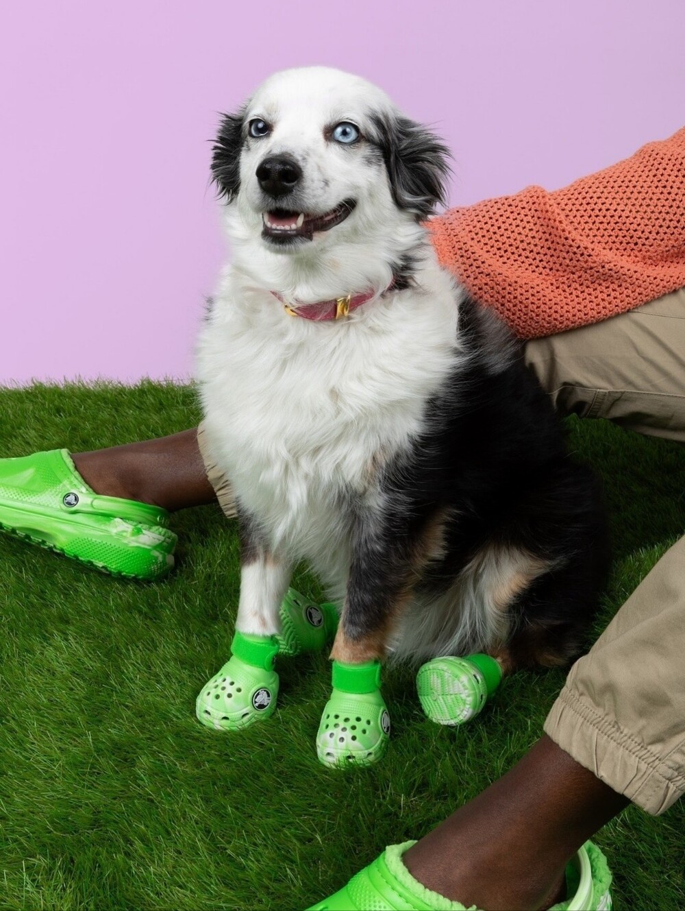 LE Green Slime Glow-in-the-dark Crocs Pet Dog Boots Medium
